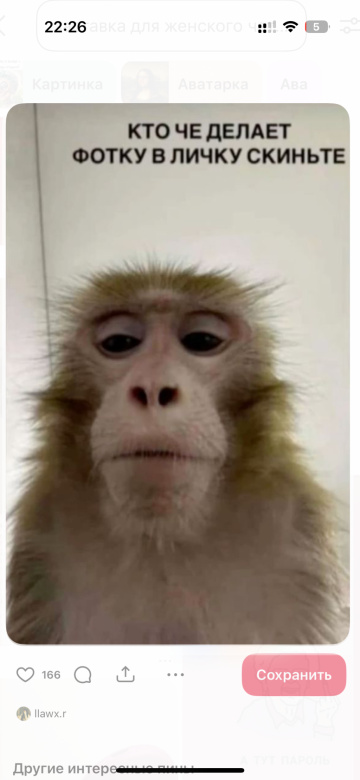 : индивидуалка проститутка Ярославля